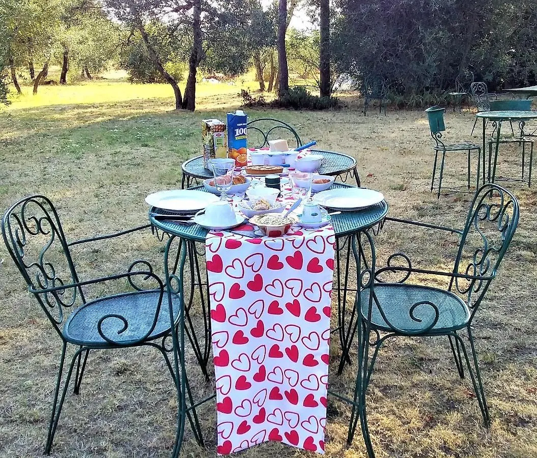 Privatunterkunft Sunshine Suites Florenz