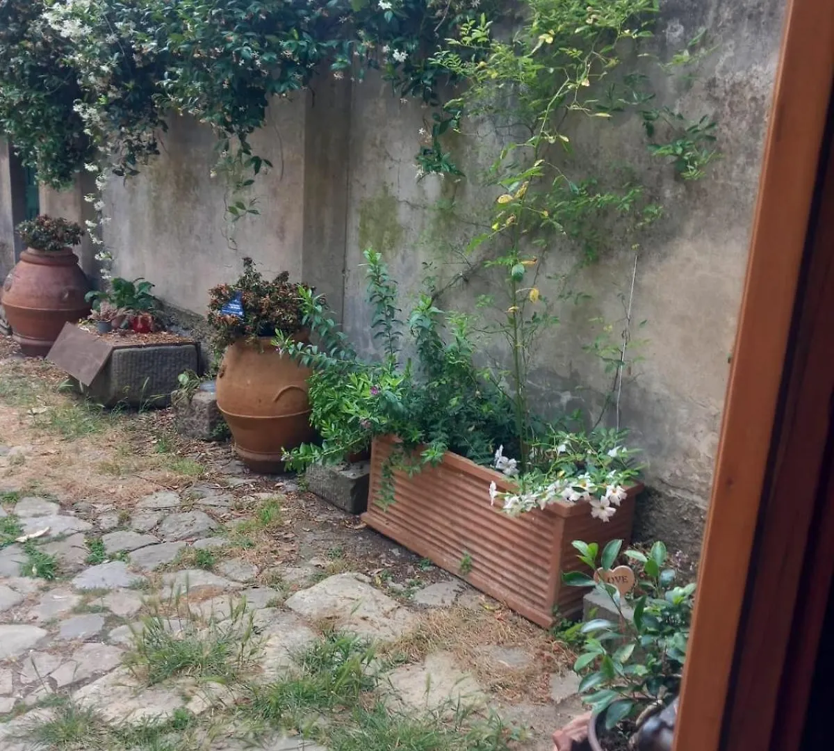 Homestay Sunshine Suites Florence